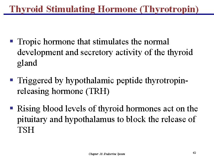 Thyroid Stimulating Hormone (Thyrotropin) § Tropic hormone that stimulates the normal development and secretory
