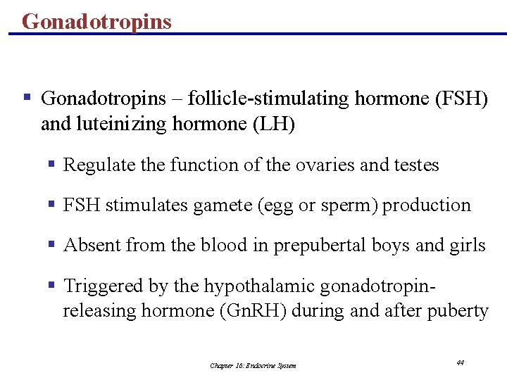 Gonadotropins § Gonadotropins – follicle-stimulating hormone (FSH) and luteinizing hormone (LH) § Regulate the