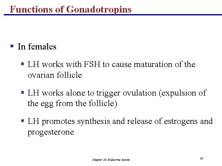 Functions of Gonadotropins § In females § LH works with FSH to cause maturation