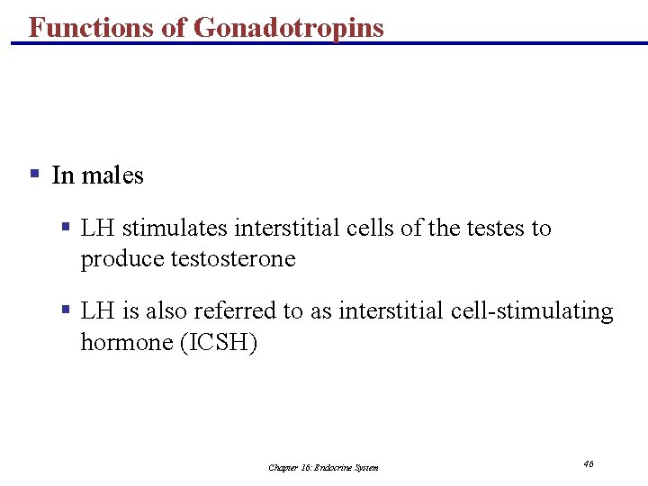 Functions of Gonadotropins § In males § LH stimulates interstitial cells of the testes