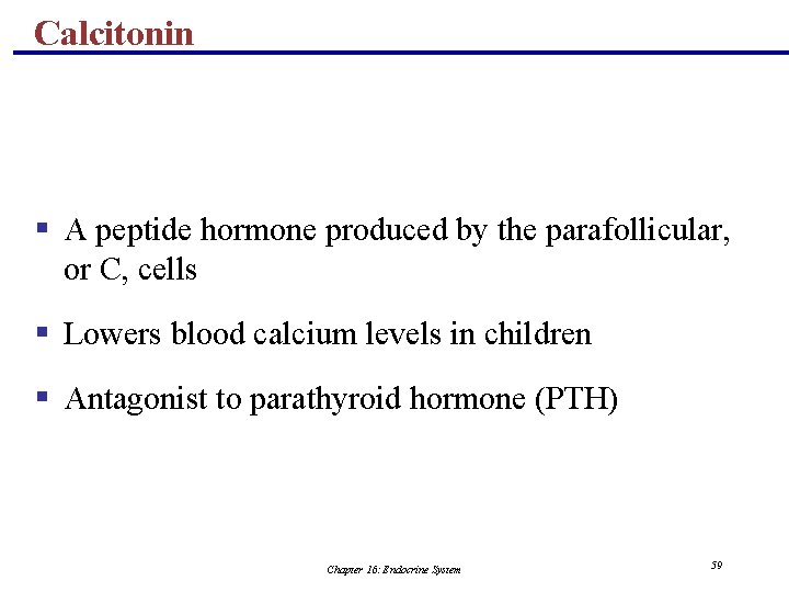 Calcitonin § A peptide hormone produced by the parafollicular, or C, cells § Lowers