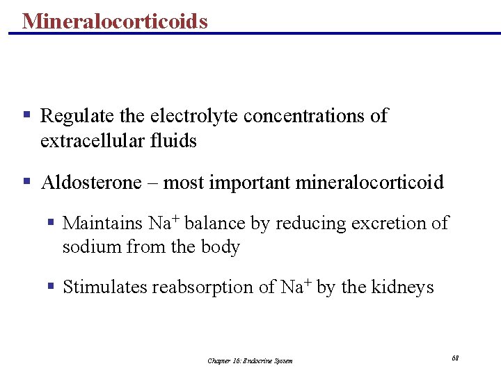 Mineralocorticoids § Regulate the electrolyte concentrations of extracellular fluids § Aldosterone – most important