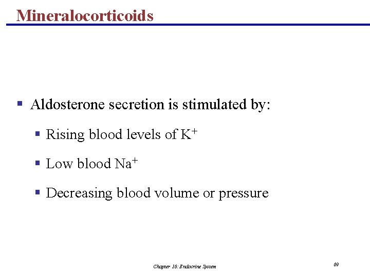 Mineralocorticoids § Aldosterone secretion is stimulated by: § Rising blood levels of K+ §