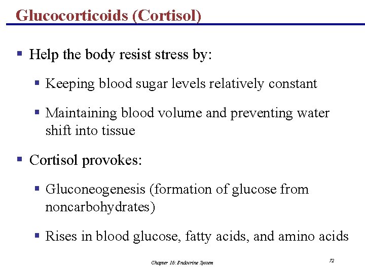 Glucocorticoids (Cortisol) § Help the body resist stress by: § Keeping blood sugar levels