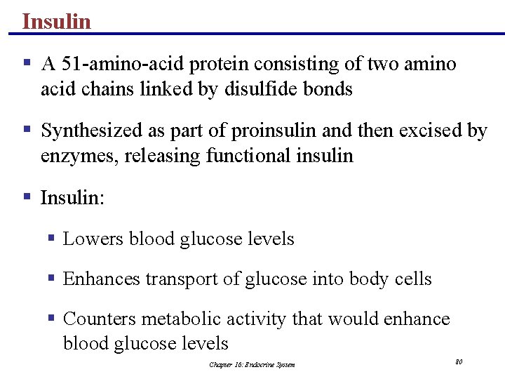 Insulin § A 51 -amino-acid protein consisting of two amino acid chains linked by