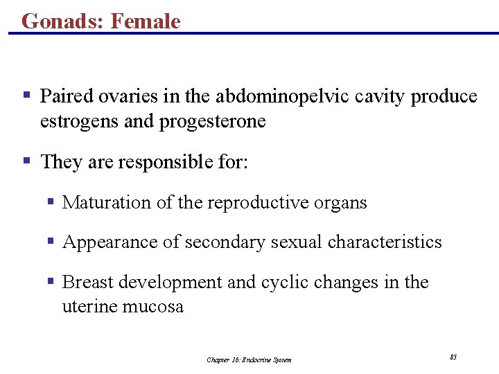 Gonads: Female § Paired ovaries in the abdominopelvic cavity produce estrogens and progesterone §