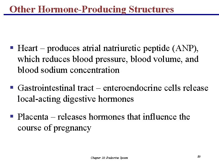 Other Hormone-Producing Structures § Heart – produces atrial natriuretic peptide (ANP), which reduces blood