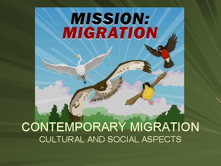 CONTEMPORARY MIGRATION CULTURAL AND SOCIAL ASPECTS 