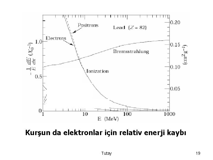 Kurşun da elektronlar için relativ enerji kaybı Tutay 19 