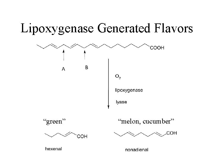 Lipoxygenase Generated Flavors “green” “melon, cucumber” 