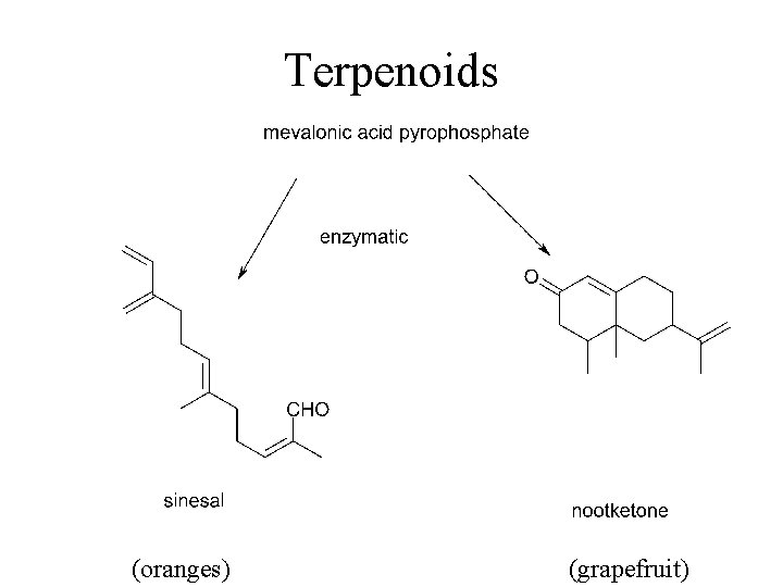 Terpenoids (oranges) (grapefruit) 