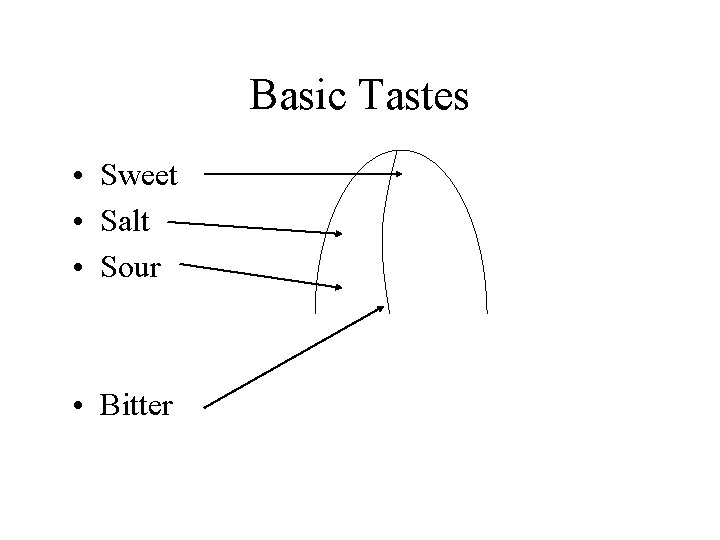 Basic Tastes • Sweet • Salt • Sour • Bitter 