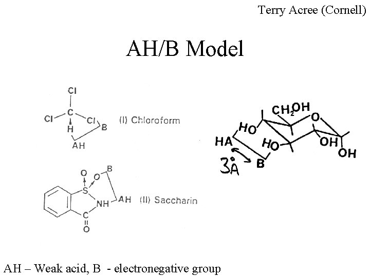 Terry Acree (Cornell) AH/B Model AH – Weak acid, B - electronegative group 