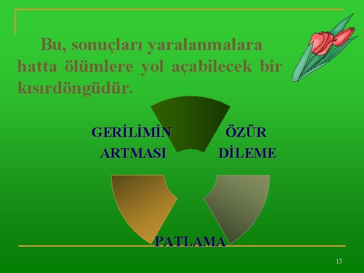 Bu, sonuçları yaralanmalara hatta ölümlere yol açabilecek bir kısırdöngüdür. GERİLİMİN ARTMASI ÖZÜR DİLEME PATLAMA