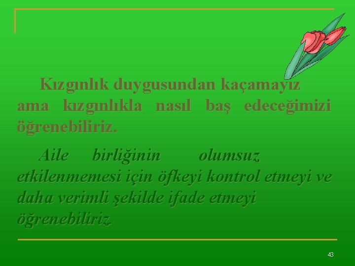 Kızgınlık duygusundan kaçamayız ama kızgınlıkla nasıl baş edeceğimizi öğrenebiliriz. Aile birliğinin olumsuz etkilenmemesi için