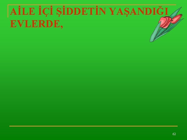 AİLE İÇİ ŞİDDETİN YAŞANDIĞI EVLERDE, 62 