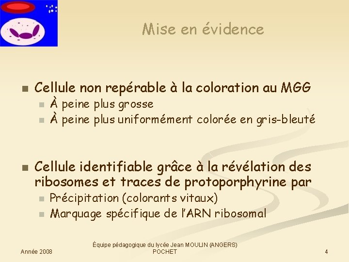 Mise en évidence n Cellule non repérable à la coloration au MGG n n