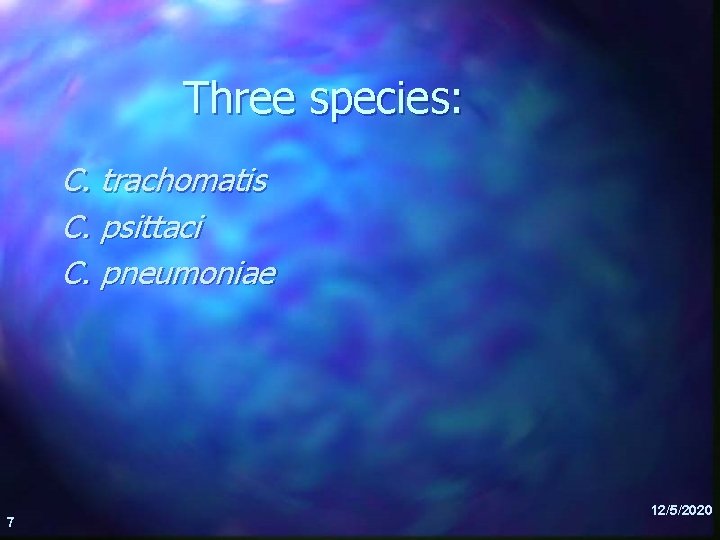 Three species: C. trachomatis C. psittaci C. pneumoniae 7 12/5/2020 