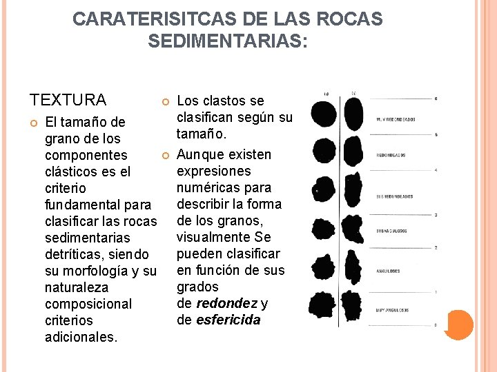 CARATERISITCAS DE LAS ROCAS SEDIMENTARIAS: TEXTURA El tamaño de grano de los componentes clásticos