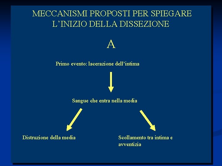 MECCANISMI PROPOSTI PER SPIEGARE L’INIZIO DELLA DISSEZIONE A Primo evento: lacerazione dell’intima Sangue che