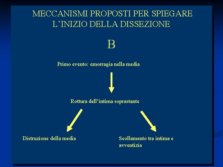 MECCANISMI PROPOSTI PER SPIEGARE L’INIZIO DELLA DISSEZIONE B Primo evento: emorragia nella media Rottura