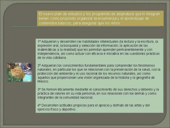 El nuevo plan de estudios y los programas de asignatura que lo integran tienen