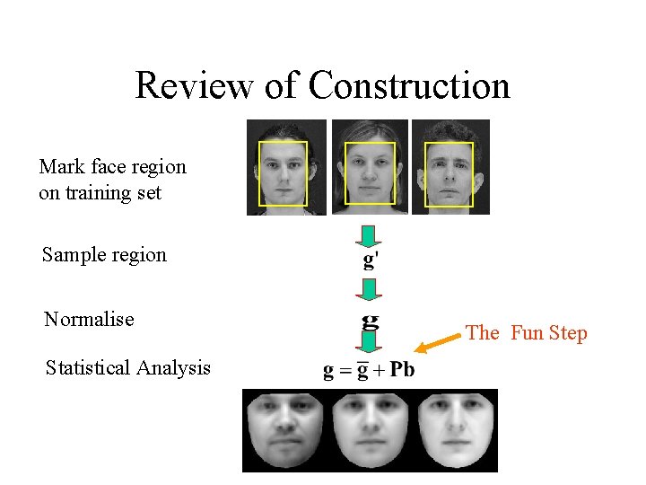 Review of Construction Mark face region on training set Sample region Normalise Statistical Analysis