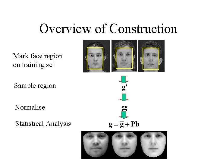 Overview of Construction Mark face region on training set Sample region Normalise Statistical Analysis