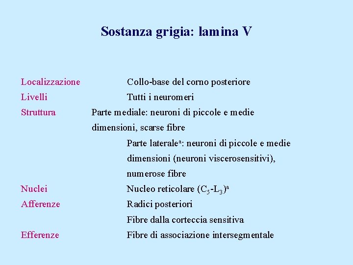 Sostanza grigia: lamina V Localizzazione Collo-base del corno posteriore Livelli Tutti i neuromeri Struttura