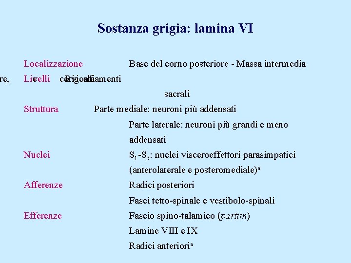 re, Sostanza grigia: lamina VI Localizzazione Base del corno posteriore - Massa intermedia Livelli