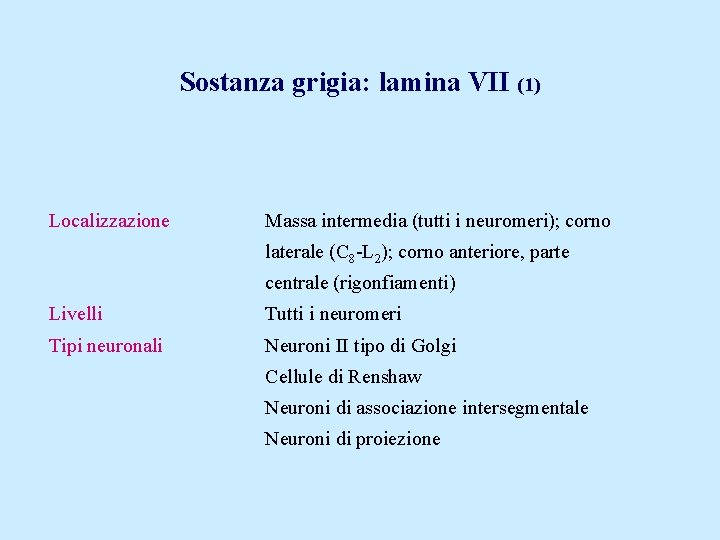 Sostanza grigia: lamina VII (1) Localizzazione Massa intermedia (tutti i neuromeri); corno laterale (C