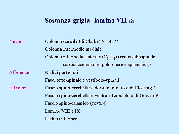 Sostanza grigia: lamina VII (2) Nuclei Colonna dorsale (di Clarke) (C 8 -L 3)a