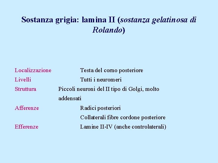Sostanza grigia: lamina II (sostanza gelatinosa di Rolando) Localizzazione Testa del corno posteriore Livelli
