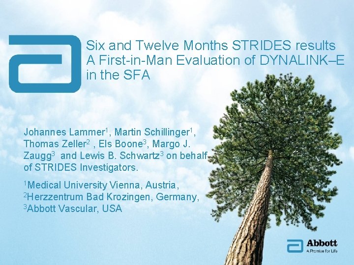 Six and Twelve Months STRIDES results A First-in-Man Evaluation of DYNALINK–E in the SFA Six and Twelve Months STRIDES results A First-in-Man Evaluation of DYNALINK–E in the SFA