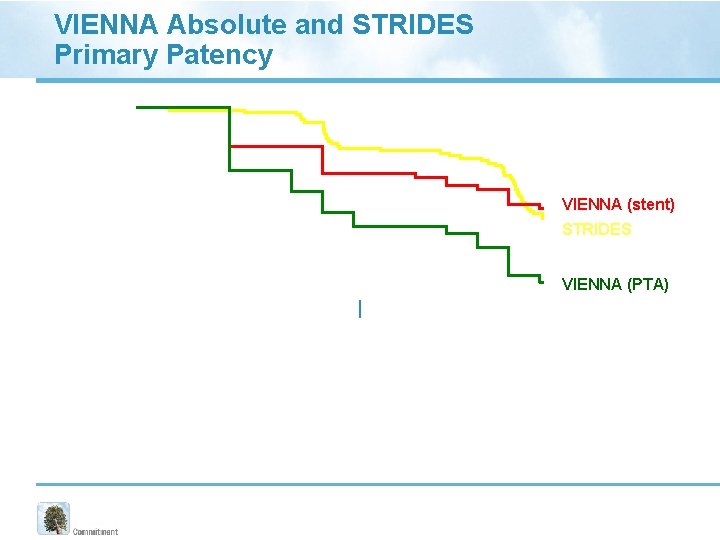 VIENNA Absolute and STRIDES Primary Patency 100% Primary Patency 75% VIENNA (stent) 50% STRIDES VIENNA Absolute and STRIDES Primary Patency 100% Primary Patency 75% VIENNA (stent) 50% STRIDES