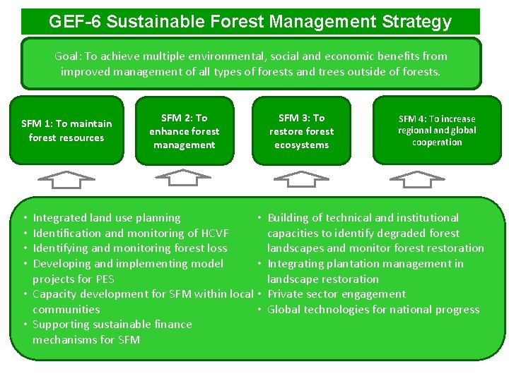 GEF-6 Sustainable Forest Management Strategy Goal: To achieve multiple environmental, social and economic benefits