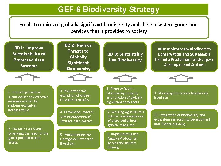 GEF-6 Biodiversity Strategy Goal: To maintain globally significant biodiversity and the ecosystem goods and