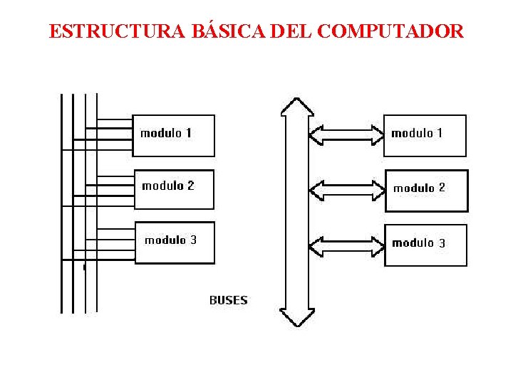 ESTRUCTURA BÁSICA DEL COMPUTADOR 