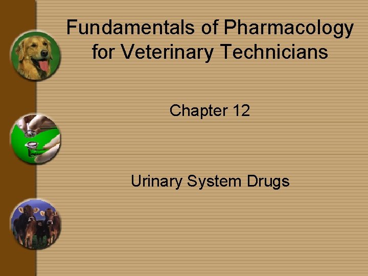 Fundamentals of Pharmacology for Veterinary Technicians Chapter 12 Urinary System Drugs 