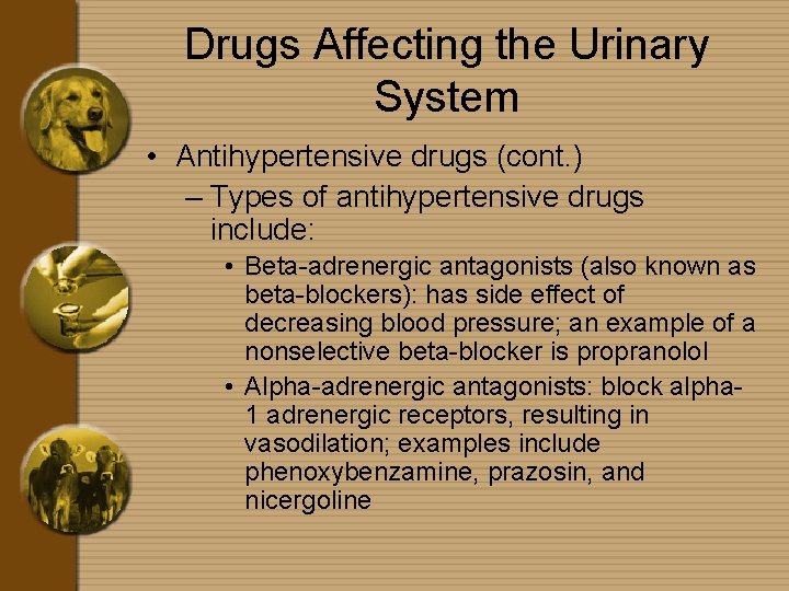 Drugs Affecting the Urinary System • Antihypertensive drugs (cont. ) – Types of antihypertensive