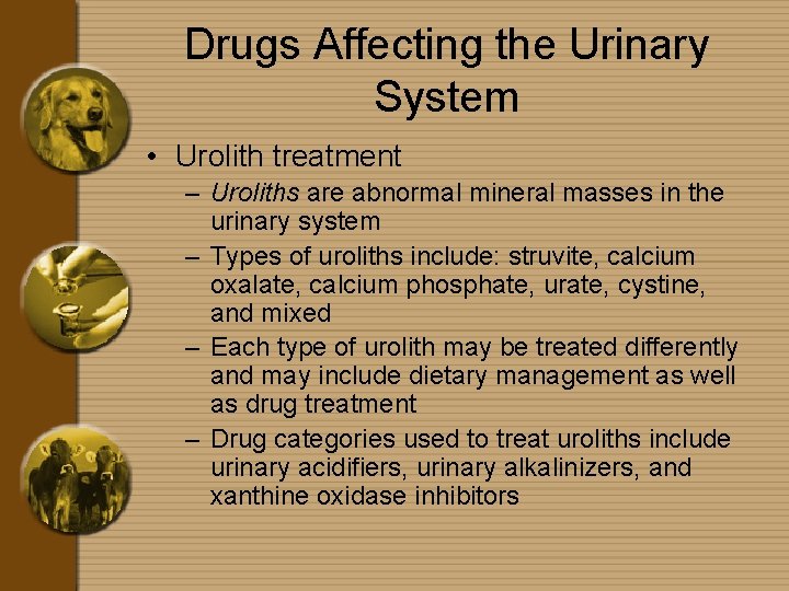 Drugs Affecting the Urinary System • Urolith treatment – Uroliths are abnormal mineral masses