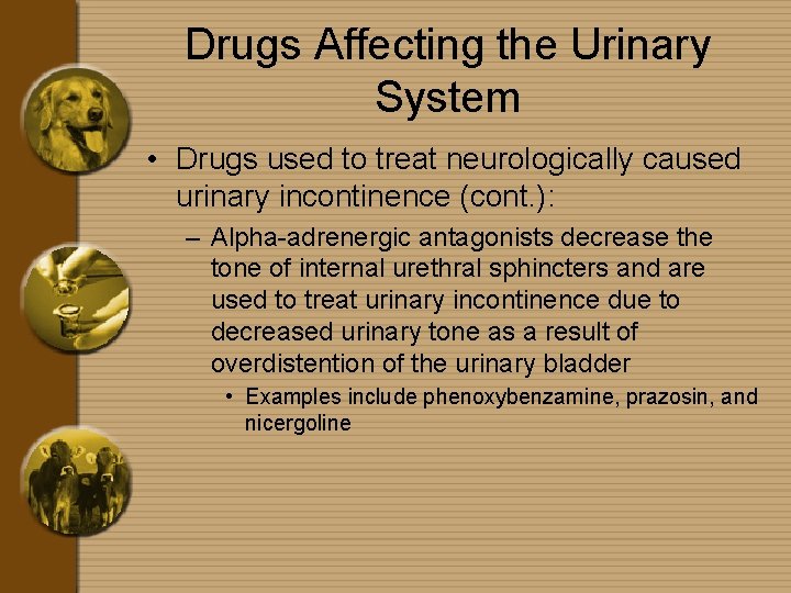 Drugs Affecting the Urinary System • Drugs used to treat neurologically caused urinary incontinence