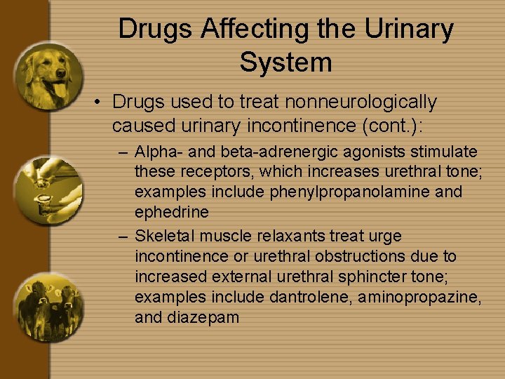 Drugs Affecting the Urinary System • Drugs used to treat nonneurologically caused urinary incontinence