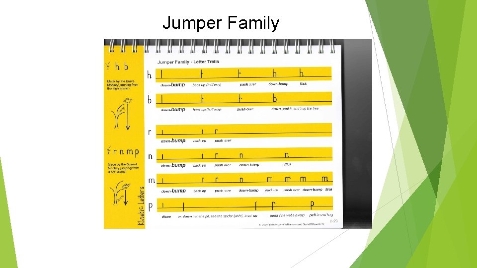 Jumper Family 