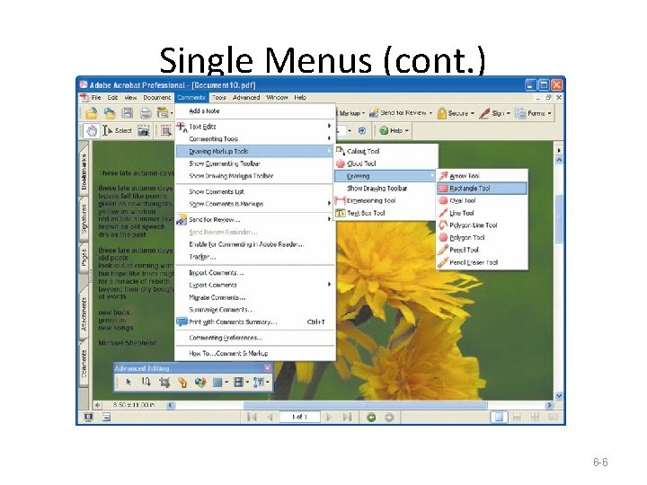 Single Menus (cont. ) 6 -6 