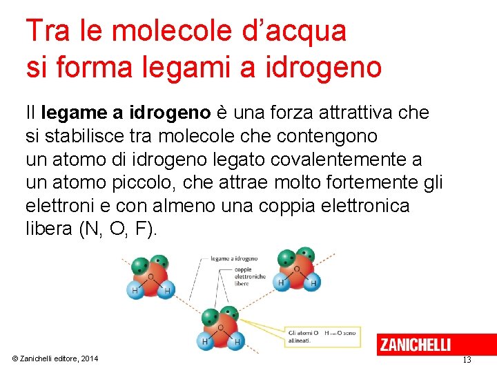 Tra le molecole d’acqua si forma legami a idrogeno Il legame a idrogeno è