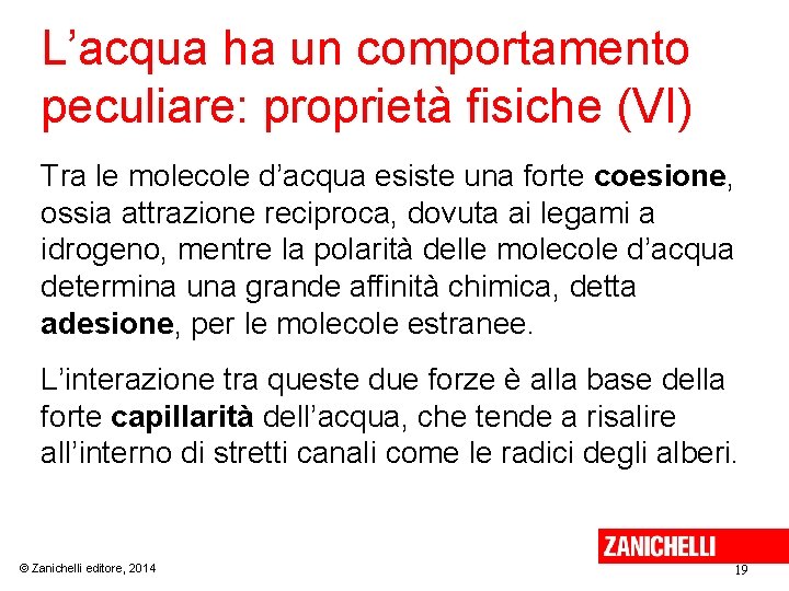 L’acqua ha un comportamento peculiare: proprietà fisiche (VI) Tra le molecole d’acqua esiste una