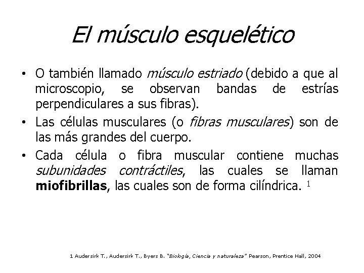 El músculo esquelético • O también llamado músculo estriado (debido a que al microscopio,