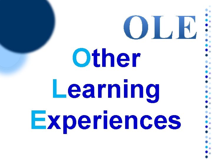 Other Learning Experiences 