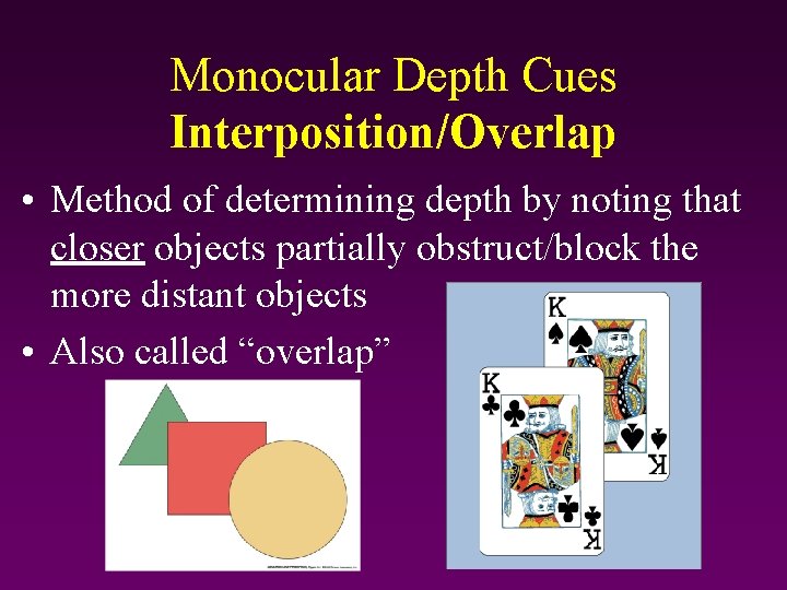 Monocular Depth Cues Interposition/Overlap • Method of determining depth by noting that closer objects